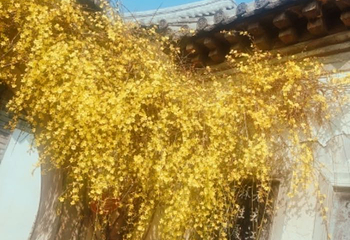 十笏园第 76 张图片