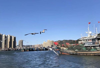电岩炮台第 14 张图片