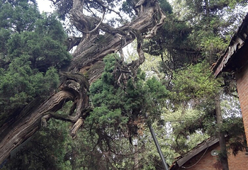 北泉寺第 2 张图片