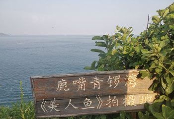 大鹏所城第 51 张图片