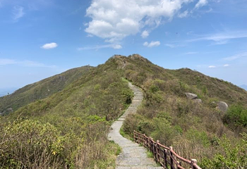 大围山国家森林公园第 77 张图片