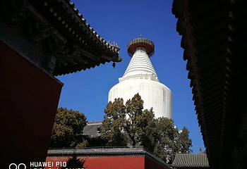 白塔寺第 27 张图片