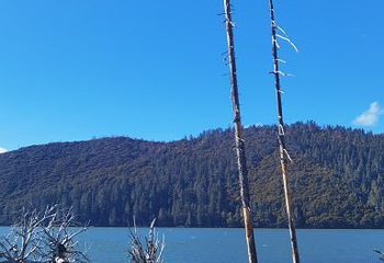 纳帕海(依拉草原)第 60 张图片