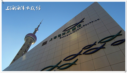 上海海洋水族馆第 216 张图片