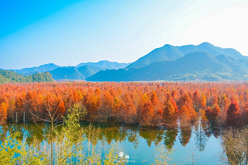 青龙湾生态旅游区第 18 张图片