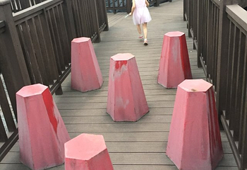 同曦恐龙海洋乐园第 16 张图片