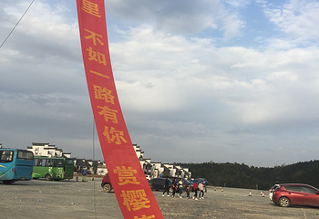 浔龙河生态艺术小镇第 13 张图片