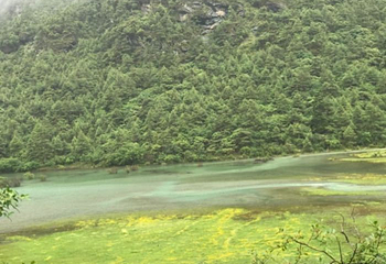 理塘长青春科尔寺第 21 张图片