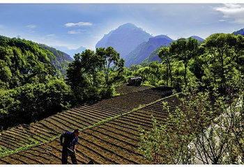 长寿村旅游风景区第 19 张图片