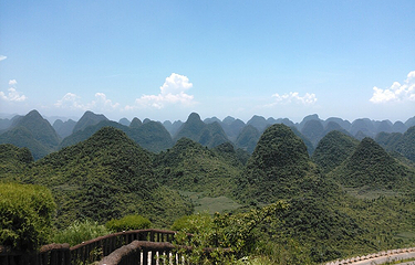 东峰林第 3 张图片