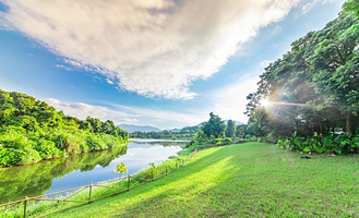 福建鲤鱼洲之探秘原生态萤火虫森林