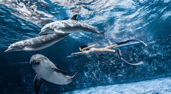 陵水海洋世界美人鱼潜水中心