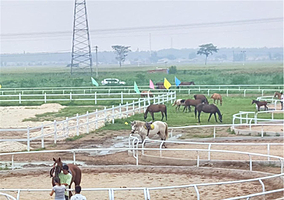 栲山跑马场
