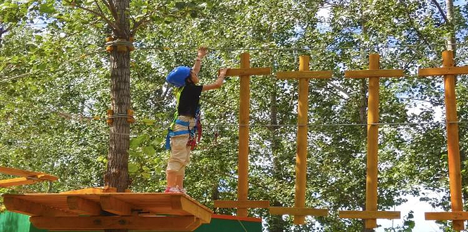 刘伶田园绿野仙踪