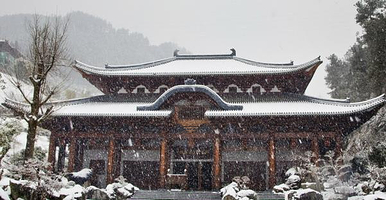 醉根天工博物馆