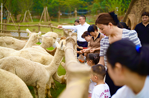 和乐·精灵之丘