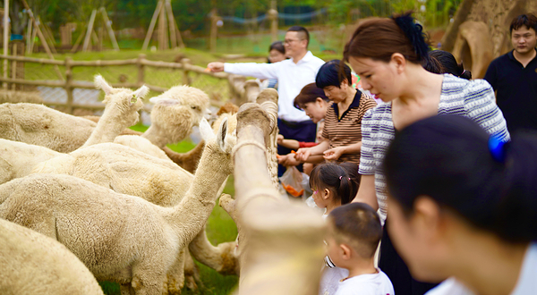 和乐·精灵之丘