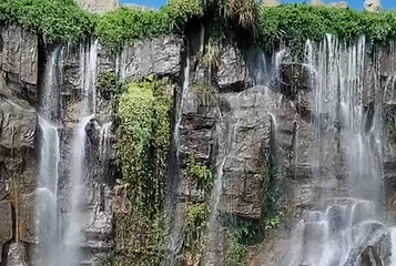峡湾森林第 1 张图片