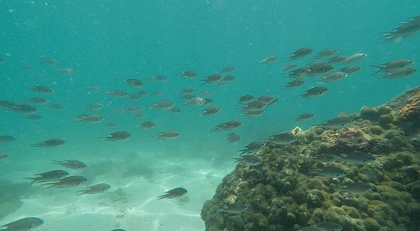 双月湾潜能潜水俱乐部