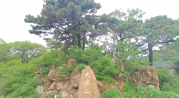 大洋山森林公园