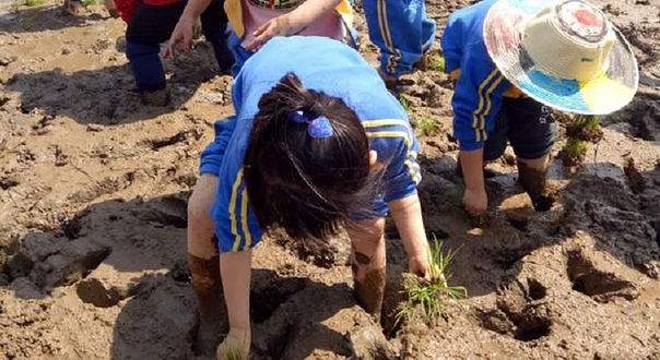 白蕉镇南澳度假村