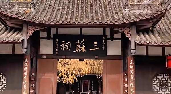 眉山市东坡书画院