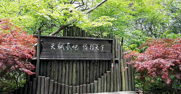 鸡公山原始森林
