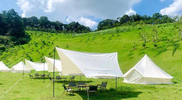 客天下山谷间露营地