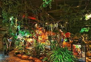 噜噜世界(麦凯乐青岛总店)