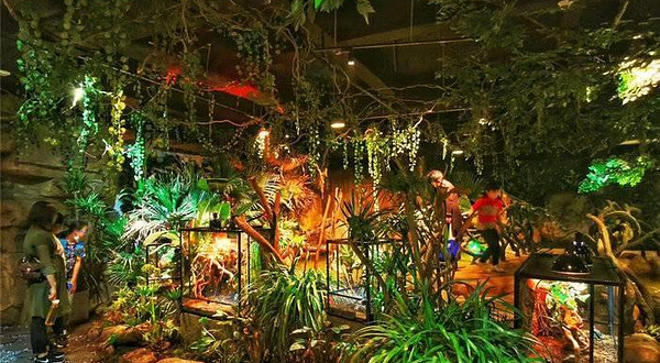 噜噜世界(麦凯乐青岛总店)