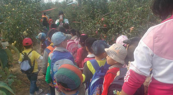 小龙湾苹果采摘园