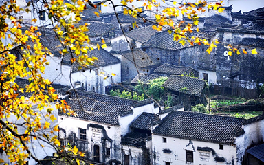 长溪村第 1 张图片