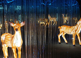 杭州印象星空光影艺术馆（南宋御街店）