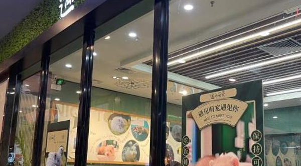 遇见萌宠体验馆（东莞总店）