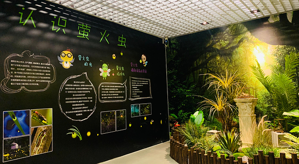 萤火虫体验馆