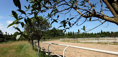 青城马术游乐园