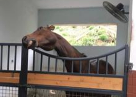 佳伯马术俱乐部