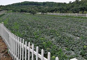 宏源绿谷家庭农场