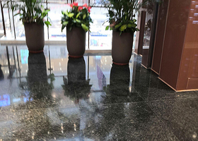 永州市冷水滩区指尖花园花卉植物店