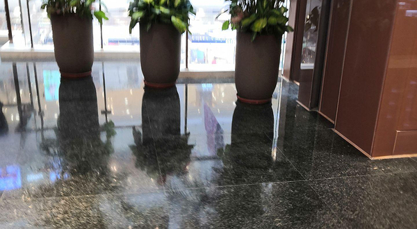 永州市冷水滩区指尖花园花卉植物店