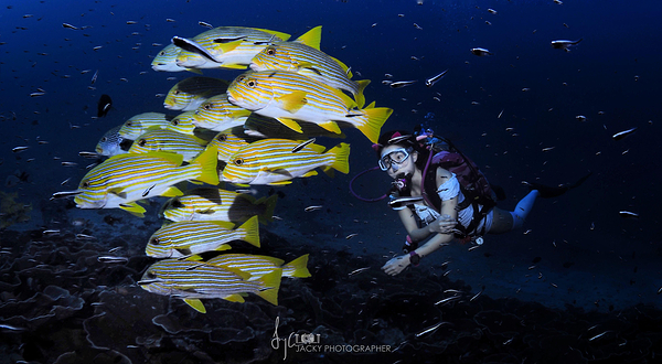 AST星鳗潜水中心(银涛高尔夫店)