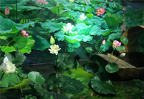 萤火虫星空艺术馆