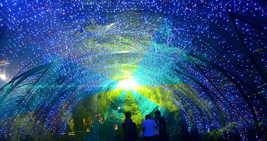 茂名市茂南区星空艺术馆