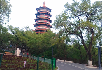 辽源龙首山第 1 张图片