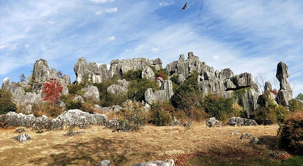 圭山国家森林公园