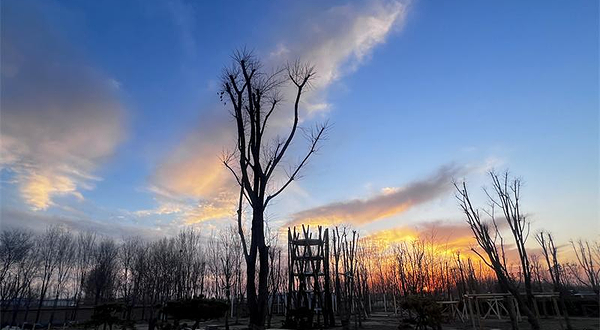 原木森林亲子农场