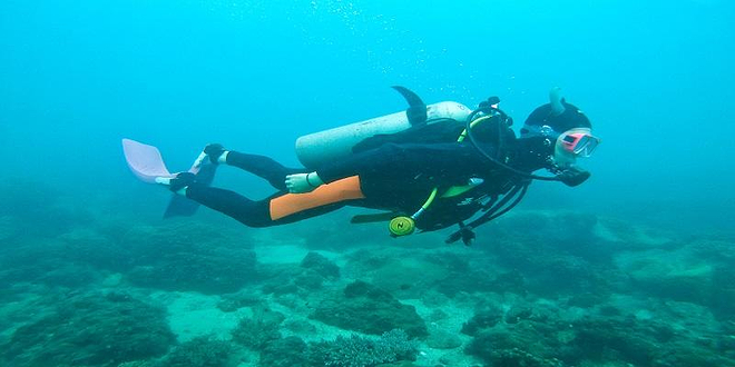 西冲柚柑湾潜水中心