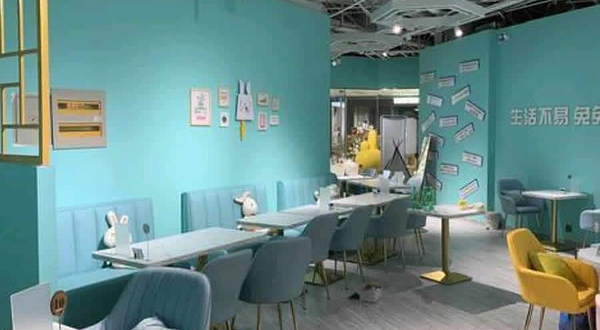 沈阳安哥拉巨兔主题馆