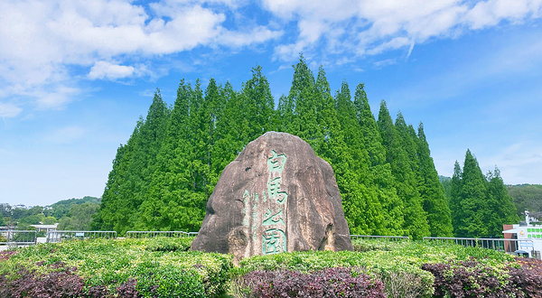 白马梦幻水上乐园