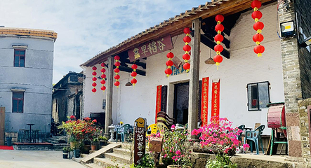 佛山早稻谷第 1 张图片